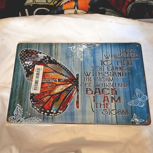 I Am The Storm Decorative Tin Sign - Picture 3 of 4